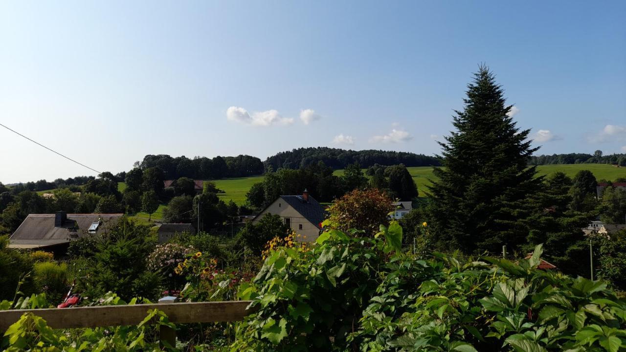 Falkenstein Apartment Reinhardtsdorf-Schona