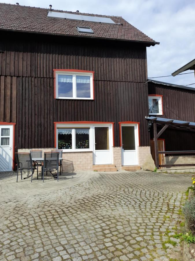 Falkenstein Apartment Reinhardtsdorf-Schona